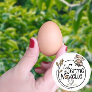 oeufs3 Martigny le Comte La ferme de Novelle